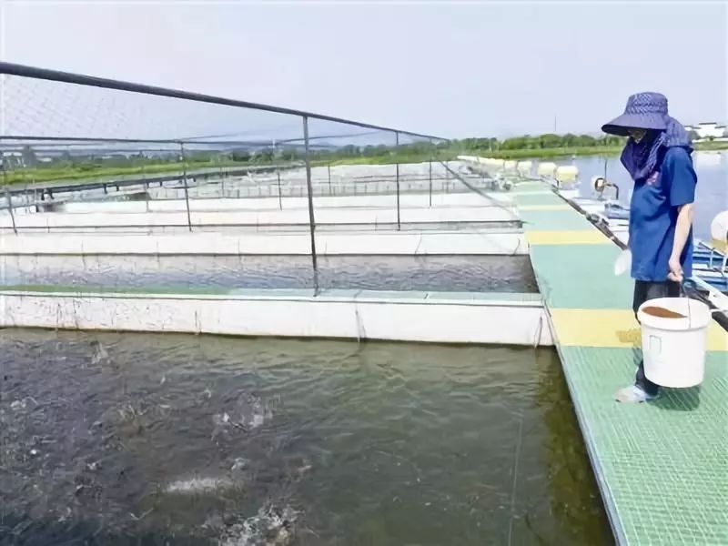 水产养殖检测仪对养殖有什么帮助