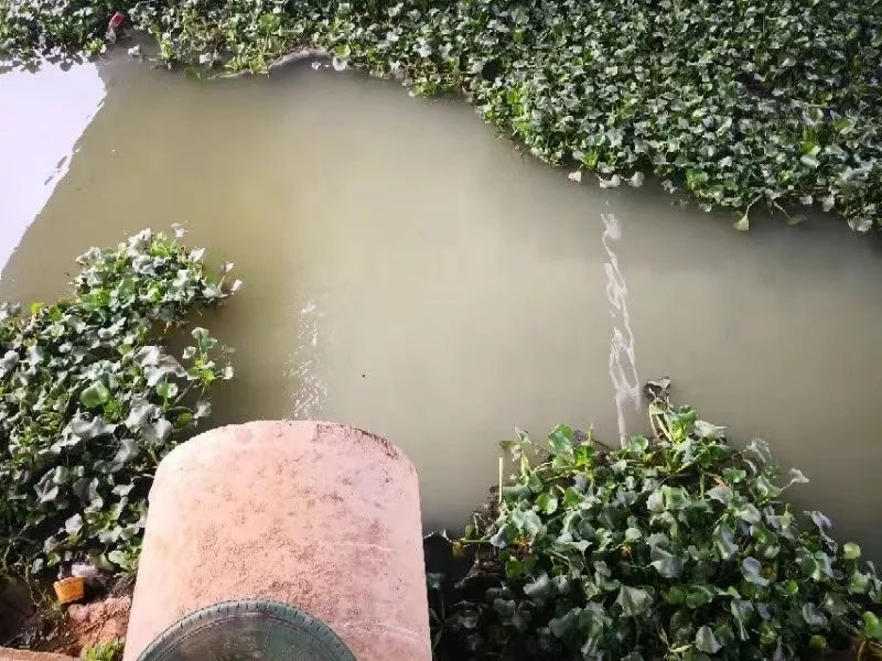 氨氮过高的水对水产养殖有什么影响