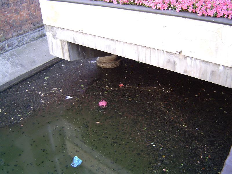 水质细菌检测仪可以在野外使用吗