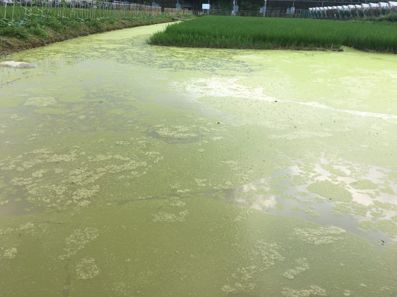 便携式生物毒性检测仪使用更方便