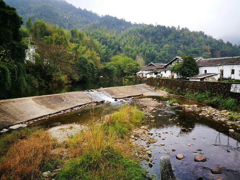 生物毒性检测仪器具备什么特性