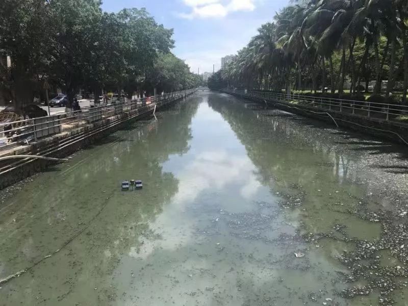 水产养殖要注意臭水的发生