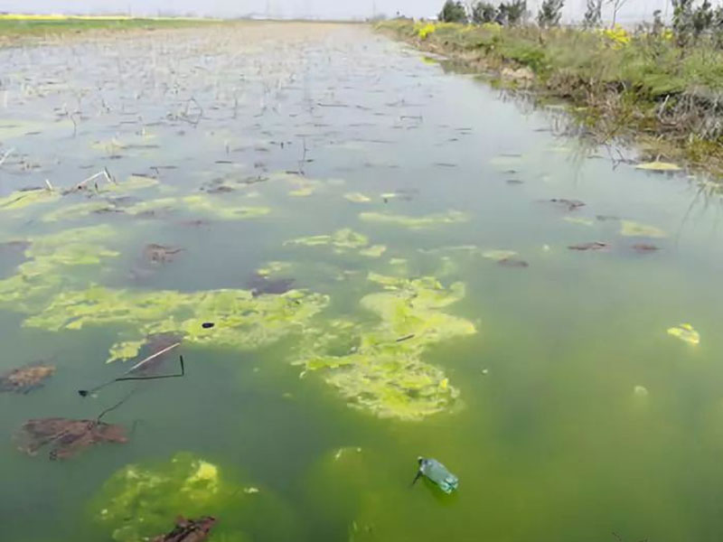 手持余氯检测仪便携式体积小、重量轻