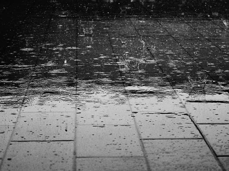 生物毒性检测仪可以检测雨水吗