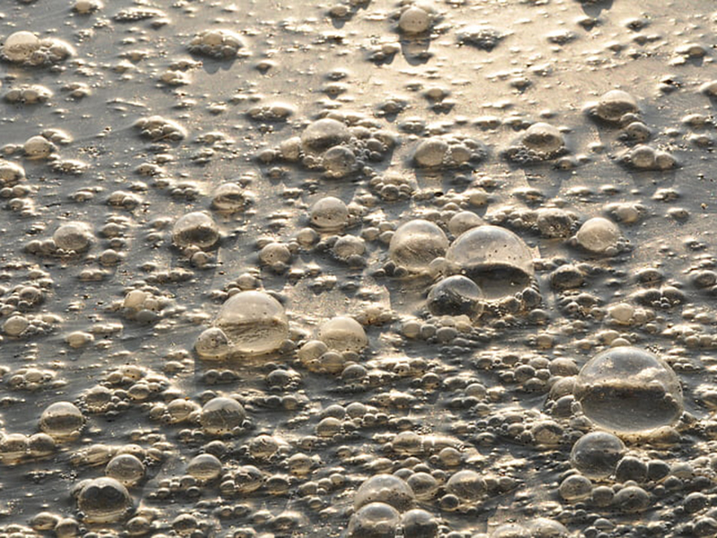 生物毒性分析仪可检测哪些项目