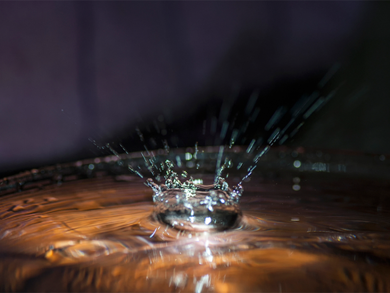 氨氮含量