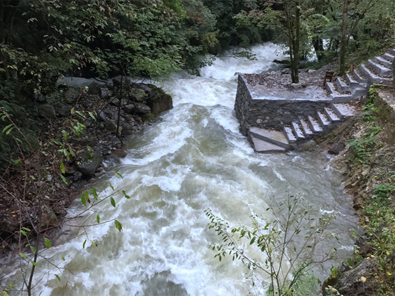 水质生物毒性检测重要性