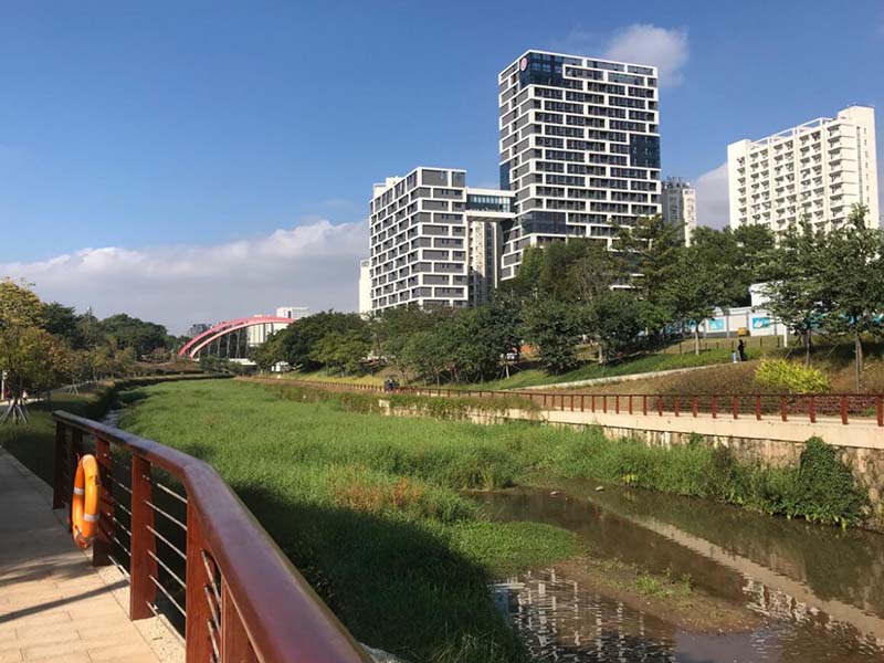 污水排放氨氮不达标原因