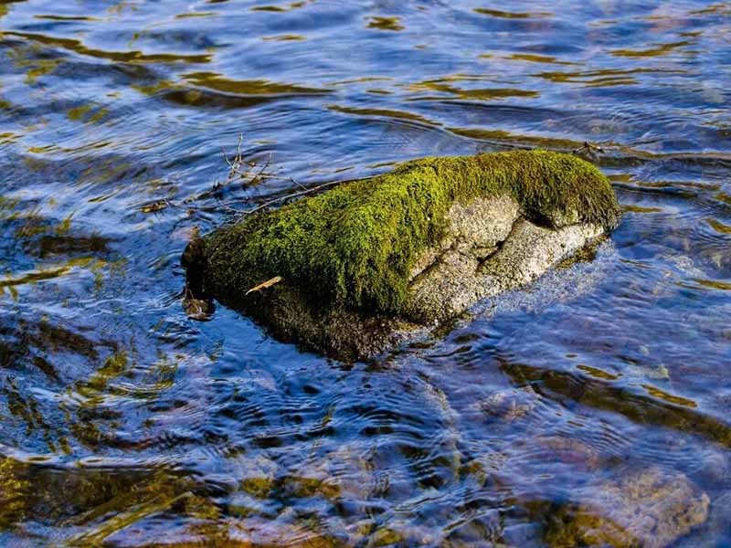 医院二次供水水质日常检测制度