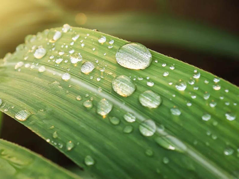 污水COD检测标准汇总