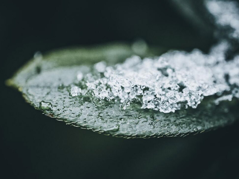 水质细菌检测标准