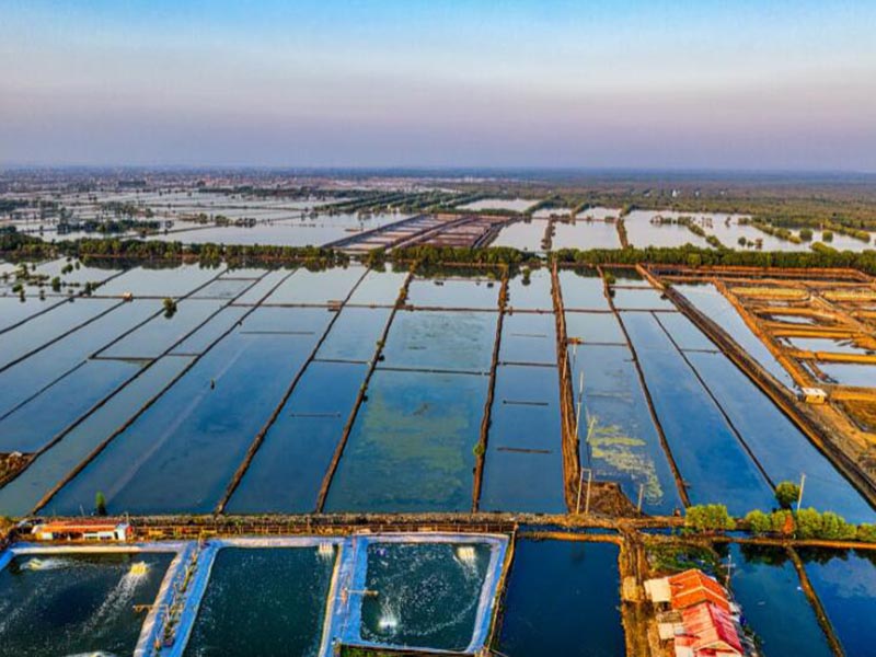 水产养殖中pH值代表什么