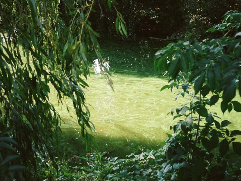 入海河流总氮超标的原因