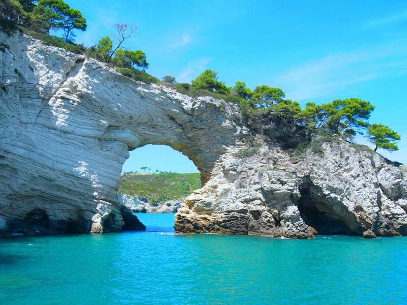 次氯酸根会对总氮检测有影响吗