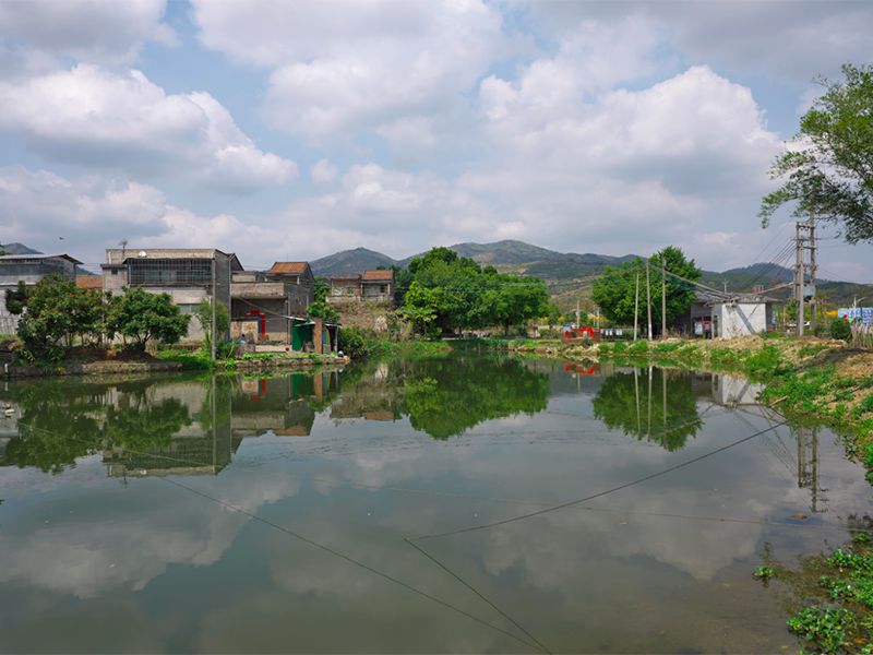 水质BOD测定原理