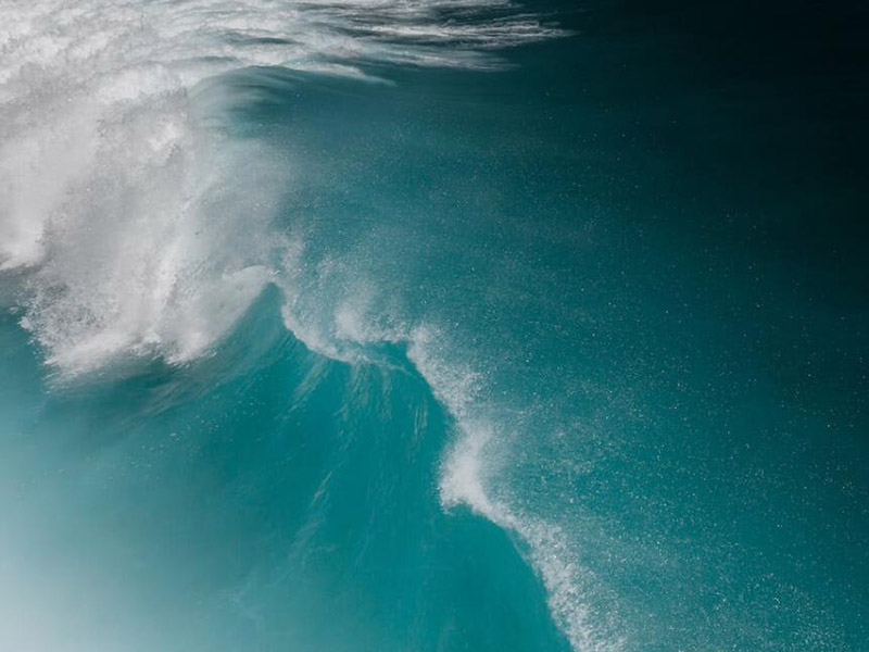 【科普】总氮在线监测仪的维护与保养技巧