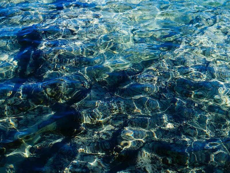 水质监测的关键工具——COD氨氮总磷总氮检测仪