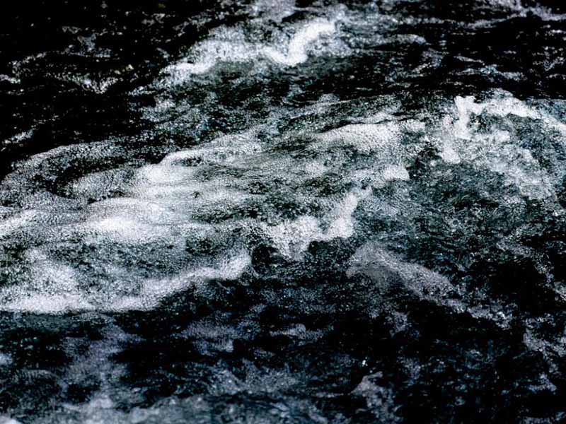 生物毒性检测可以测什么物质