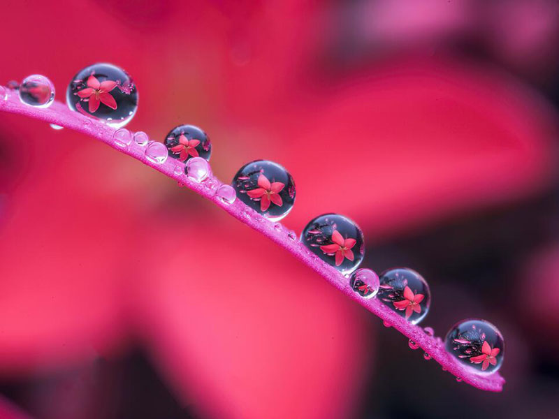 水质色度检测仪选购要点