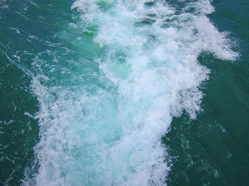 水质总磷测定仪详细工作流程