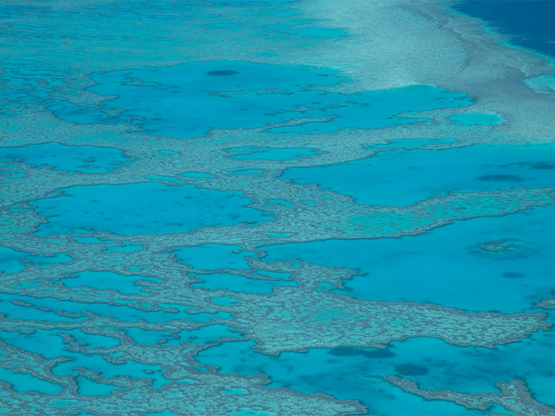 塑料对海水的影响
