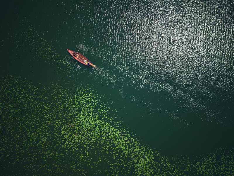 钼酸铵分光光度法测定总磷的步骤
