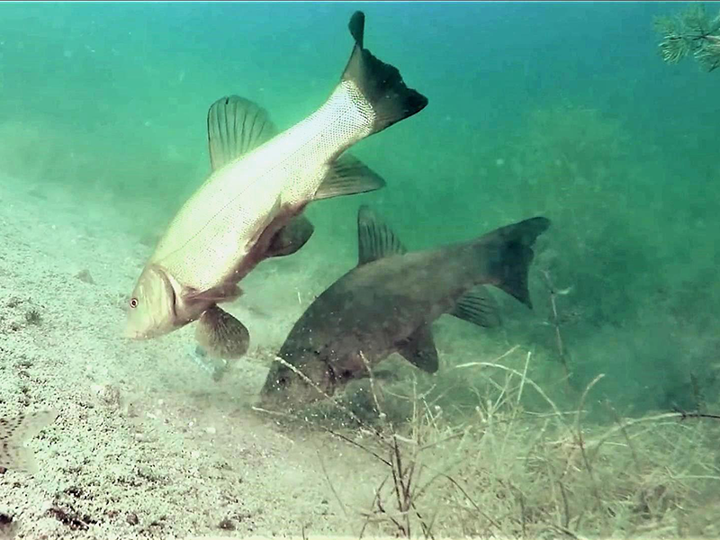 水质检测检验