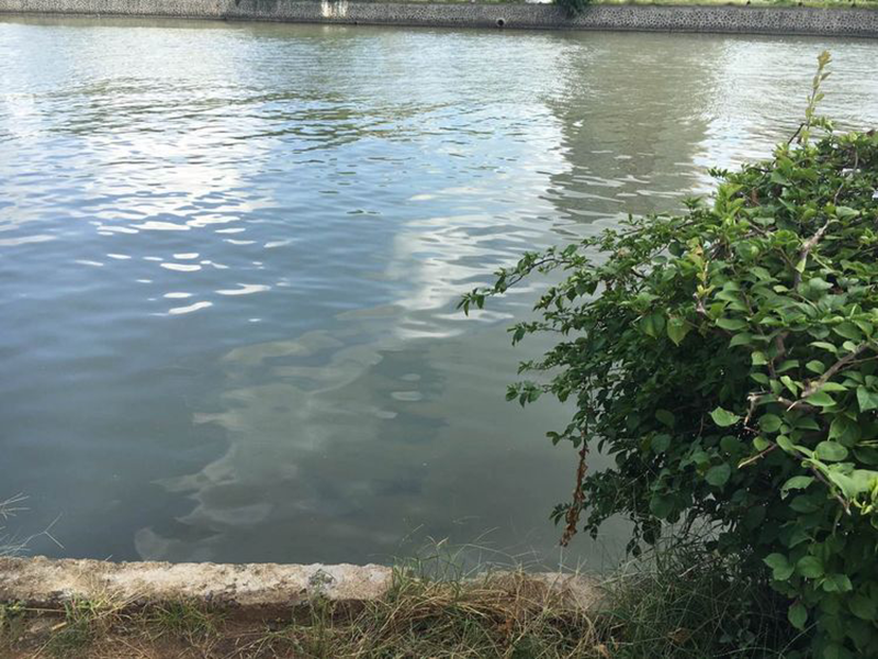 水质监测的意义是什么