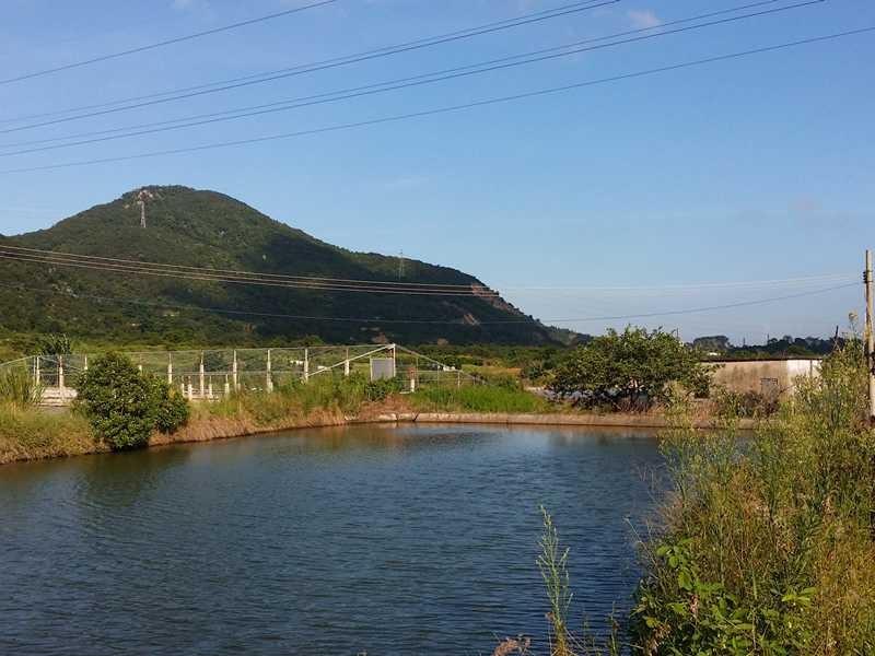 渔业专用多参数水质检测仪，为养殖打好基础