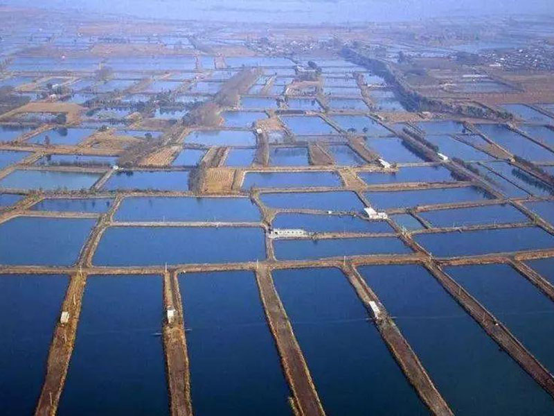溶氧不足会给水产养殖带来怎样的影响