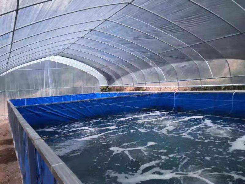采用“活水”养殖，促进水产健康快速生长