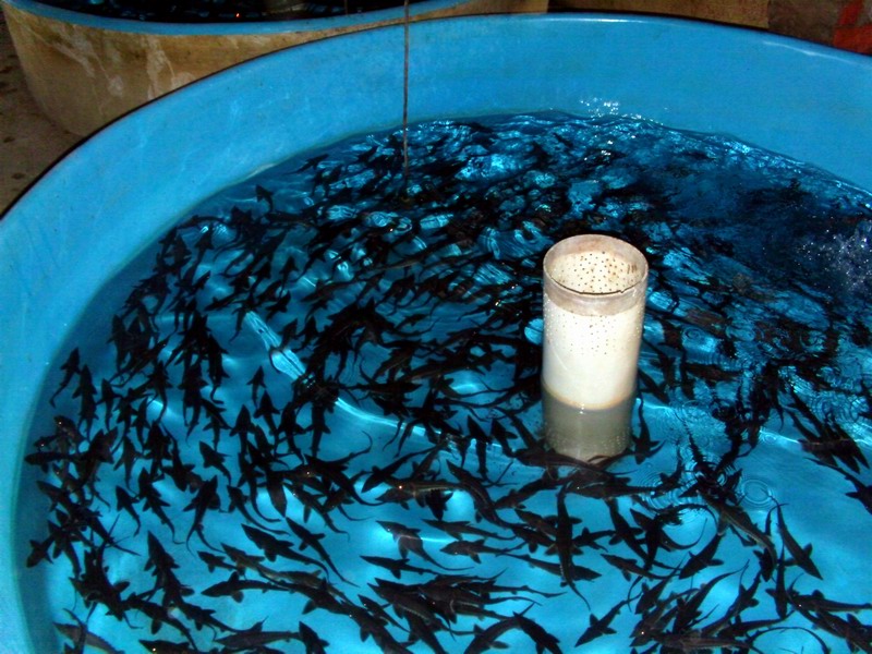 水产养殖检测仪体积小，方便户外检测