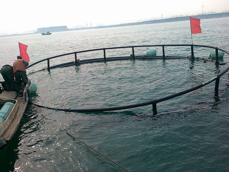 手持余氯检测仪，可有效避免养殖损失