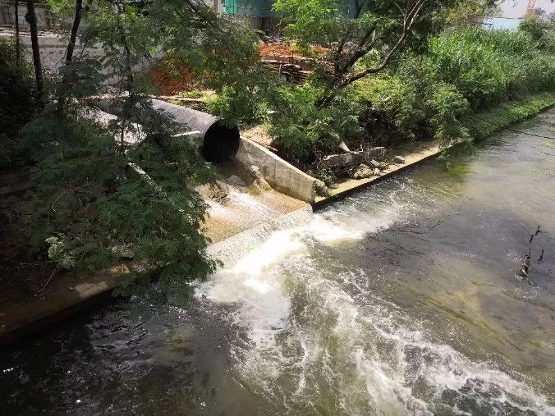 生物毒性检测仪可以检测工业废水吗