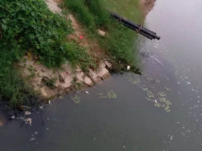 怎样检测污水中的氨氮含量