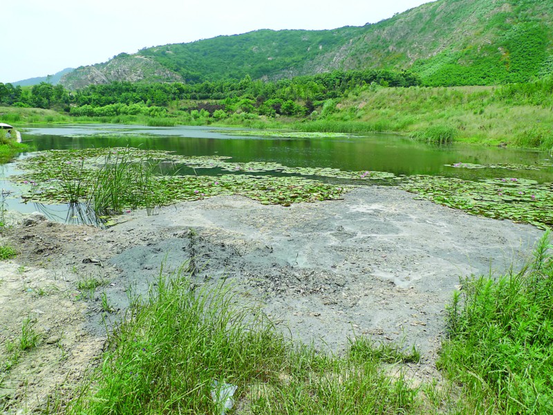 池塘的水中氨氮含量过高怎么办